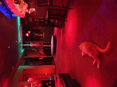 20190309_063544.jpg