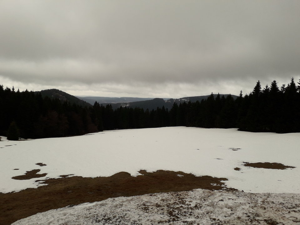 20190309_130544.jpg - matyldchen
