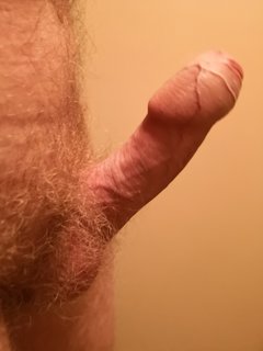 IMG_20190312_120656.jpg