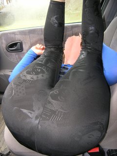 P4100076a.jpg