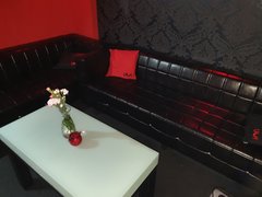 strefa telewizyjna