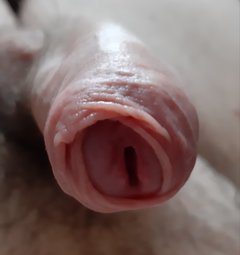 20190317_145502.jpg