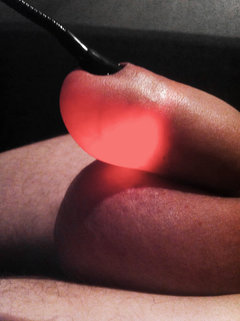 379_1000.jpg