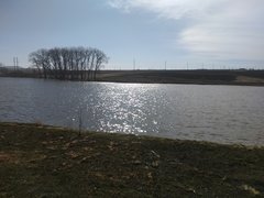 IMG_20190318_111139.jpg