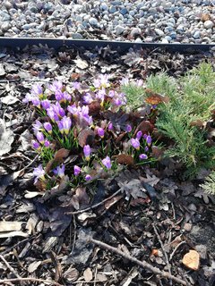 IMG_20190319_084834.jpg