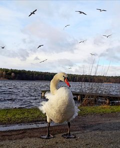 20190320_133836.jpg