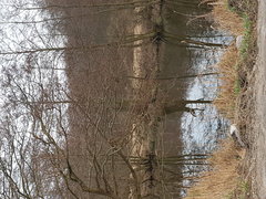 20190321_173329.jpg