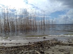 20190319_124233.jpg