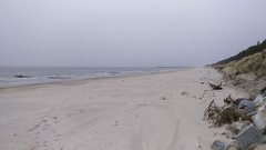IMG_20190322_101713.jpg