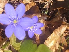 20160404_134257.jpg