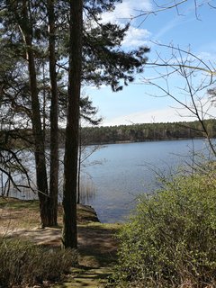 20190324_134335.jpg