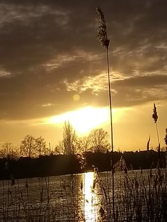 IMG_20190324_173527373.jpg