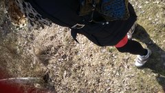 WP_20190322_11_14_41_Pro.jpg