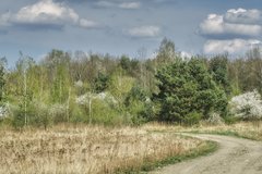 wiosna stara