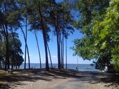 20180806_124203.jpg