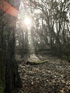 20190329_193222.jpg