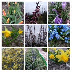 20190329_194225-COLLAGE.jpg