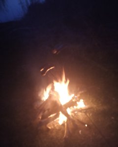 IMG_20190330_201124.jpg