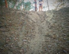 IMG_20190331_062444.jpg