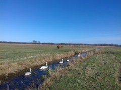 20190331_161911.jpg