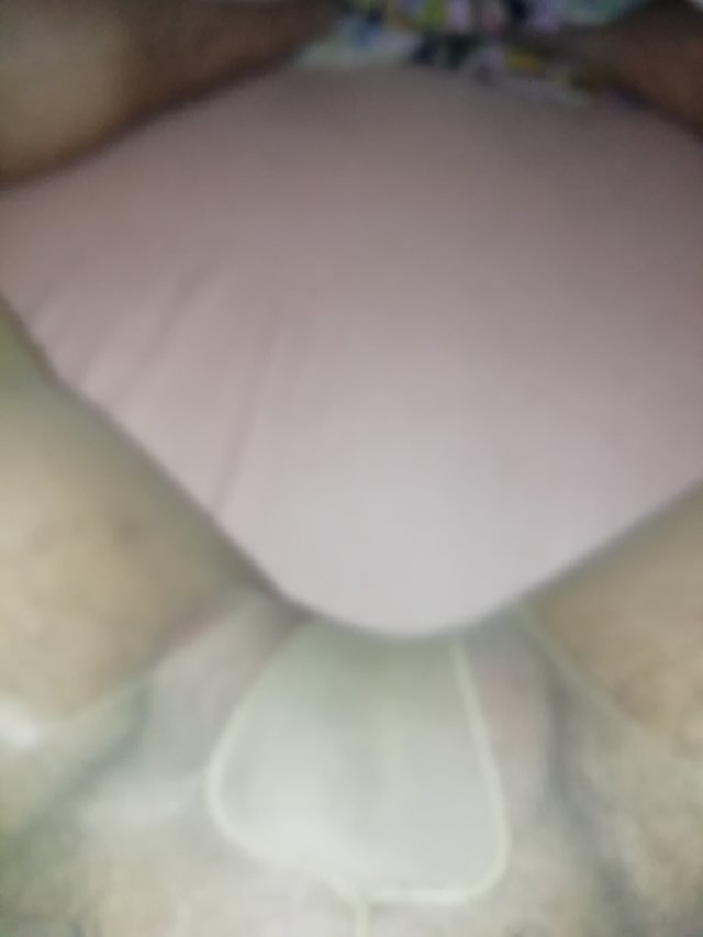 NylonsPanties