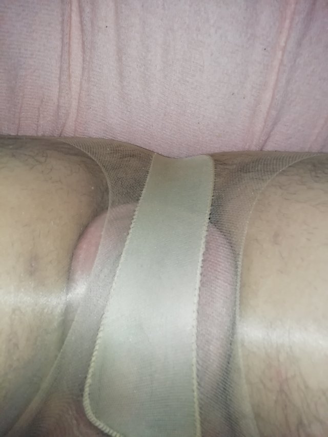 NylonsPanties
