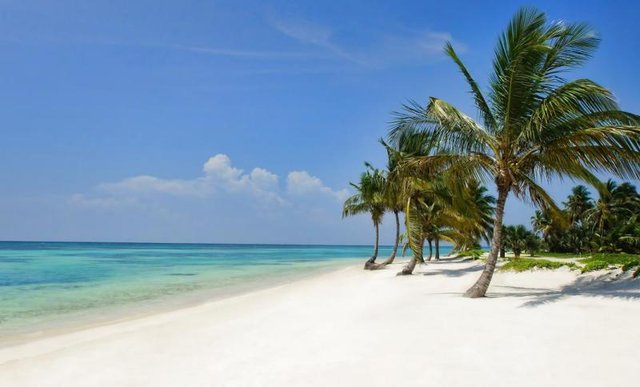 punta_cana_2016.jpeg - gold_magic_wand