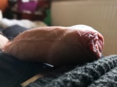 IMG_20190403_161549.jpg