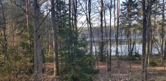 20190404_163537.jpg