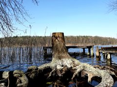 20190404_180543.jpg