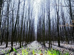 20190404_181013.jpg