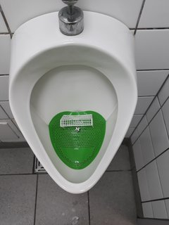 20171116_110800.jpg
