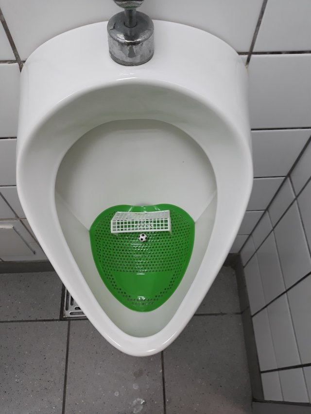 Gosc9