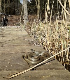 20190405_190504.jpg