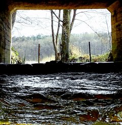 20190405_183716.jpg