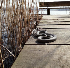 20190405_190024.jpg