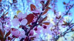 672F7A88-A810-49B1-B43D-8247F0126923.jpeg