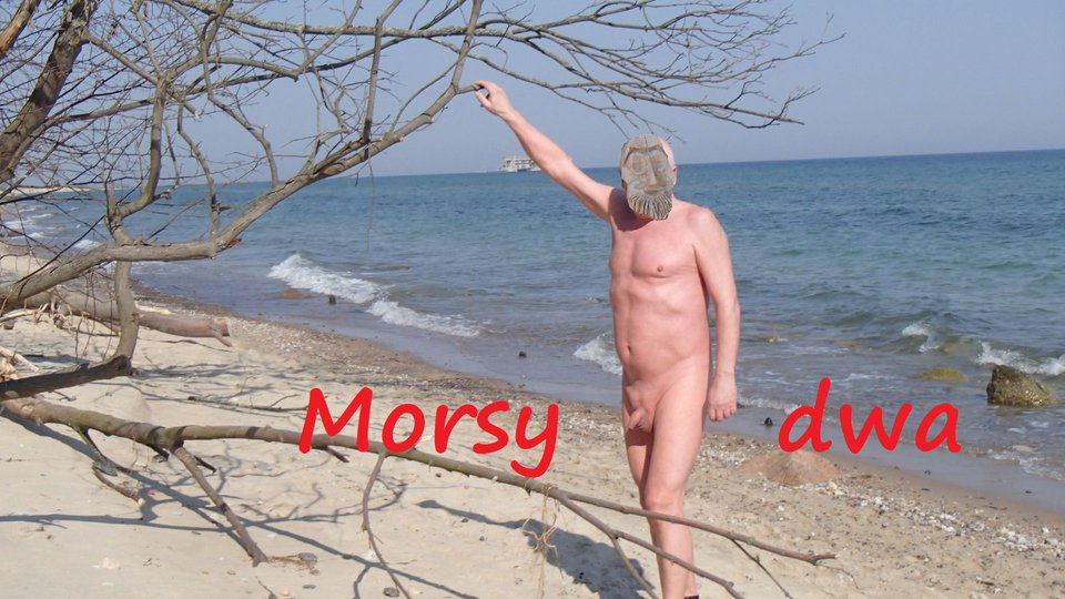 Plaża 6 kwietnia 2019 roku. - Morsy_dwa