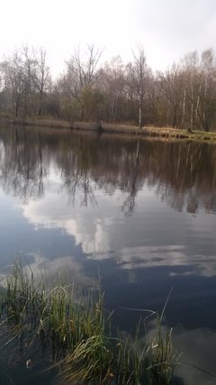 IMG-20190407-WA0003.jpg