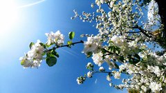 20180429_135201~2.jpg