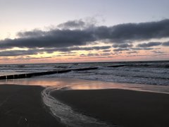 B21BA282-8BD6-492B-BF91-9D8B669D1350.jpeg