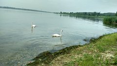 IMG_20180610_111946_HDR.jpg