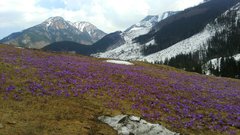 IMG-20190405-WA0000.jpg