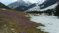 IMG-20190405-WA0001.jpg