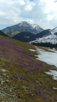 IMG-20190405-WA0008.jpg