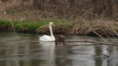 20190329_103649.jpg