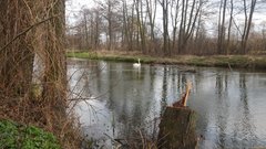 20190329_103640.jpg