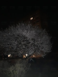 20190412_213018.jpg