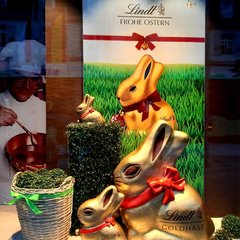 IMG_20190413_110338_579.jpg