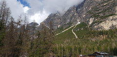 20190410_153534.jpg
